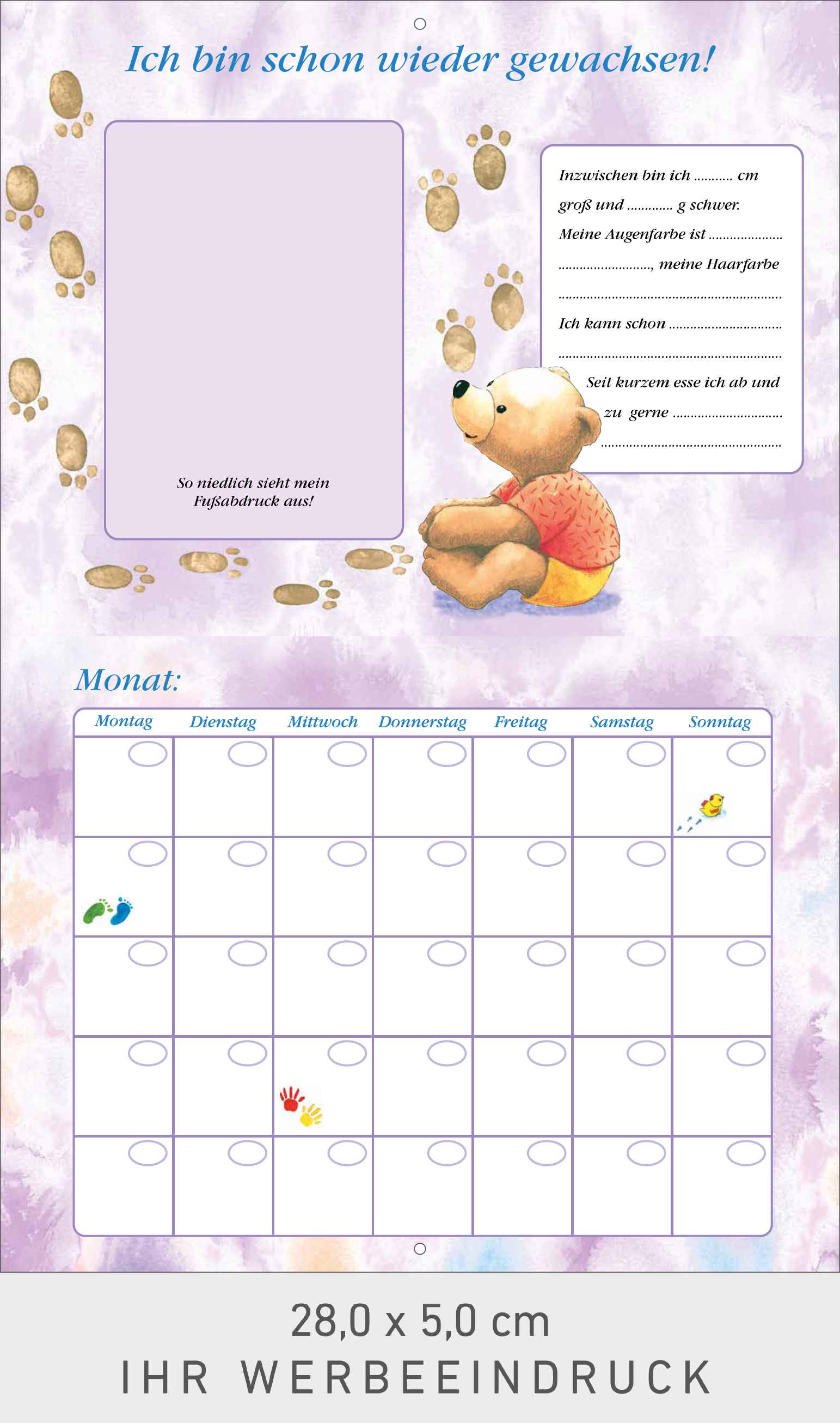 Mein erstes Jahr (Babykalender)