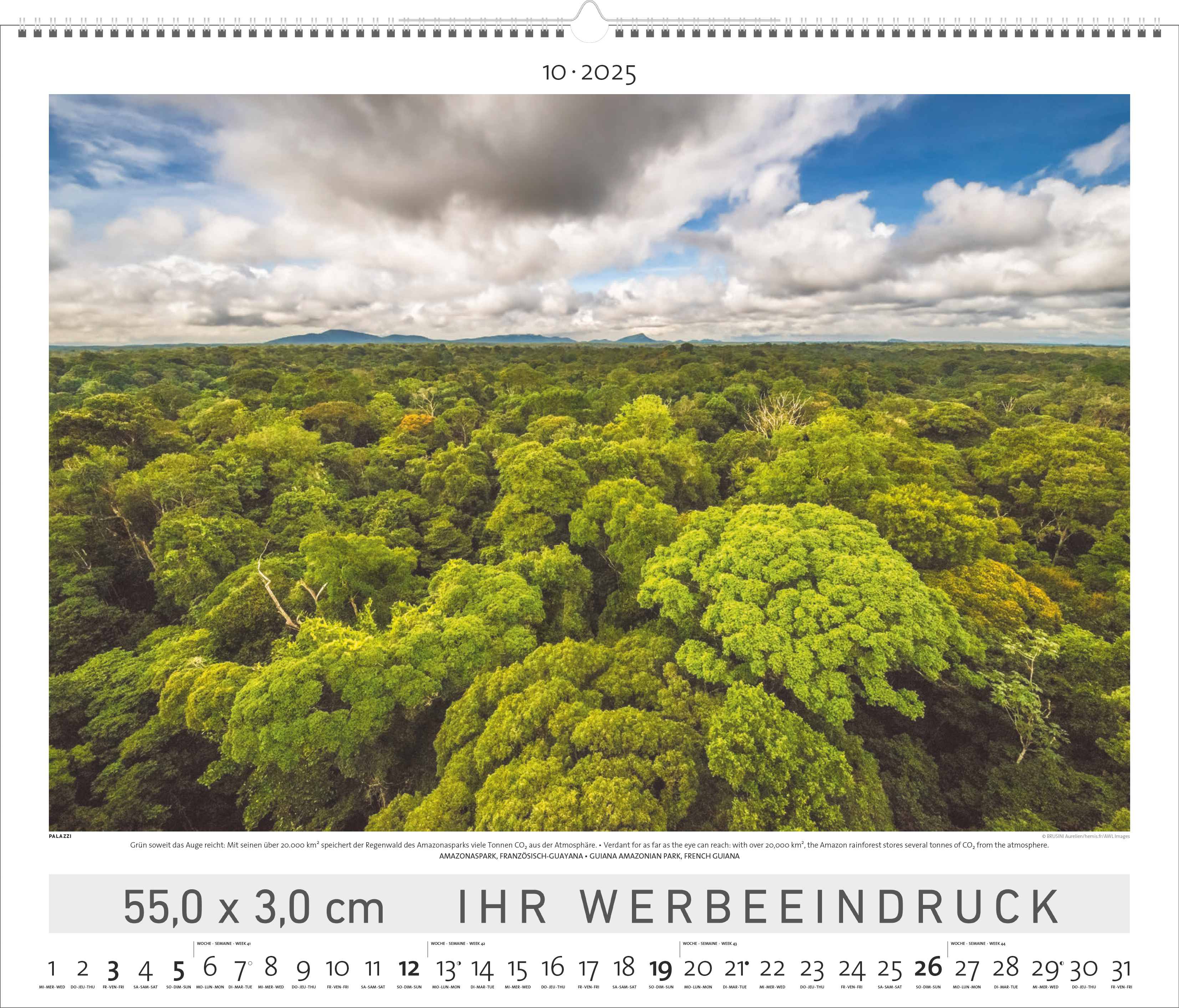 Regenwald | RAINFOREST