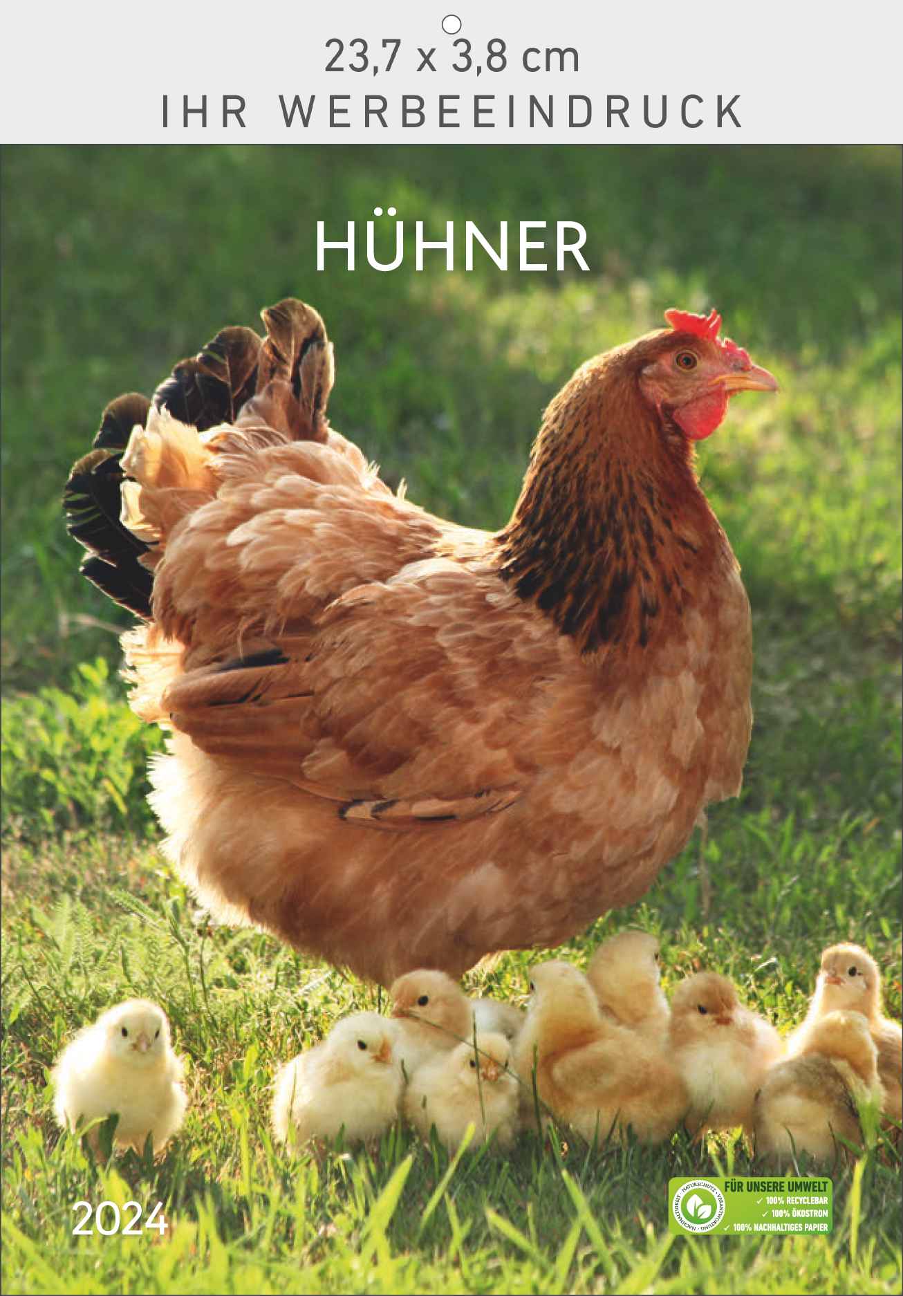 Hühner
-neuer Titel-